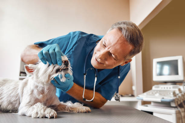 Best Emergency Broken Tooth Repair in , MA